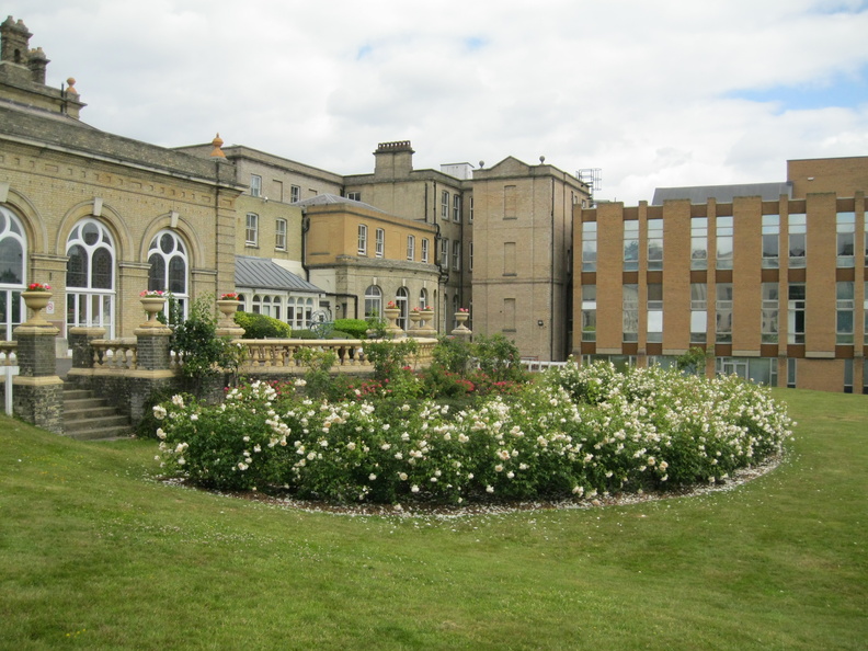 Image 3